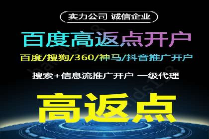 百度竞价SEM策略解析：某品牌广告成功的关键因素
